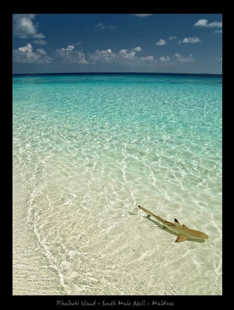 Crystal Beach Inn Malé Dış mekan fotoğraf